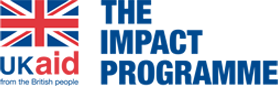 DFID Impact Programme logo